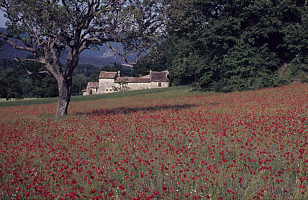 Destination Provence agence de voyages Drme