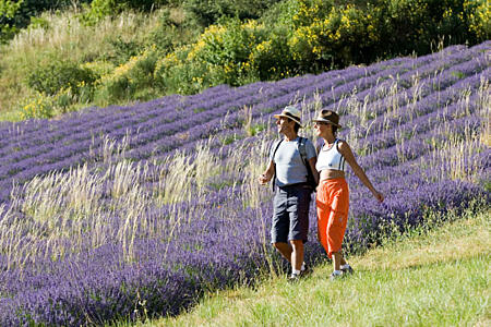 Destination Provence votre agence de voyages Provence