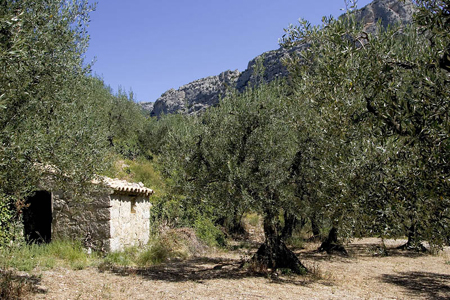 séjours individuels en Ardèche