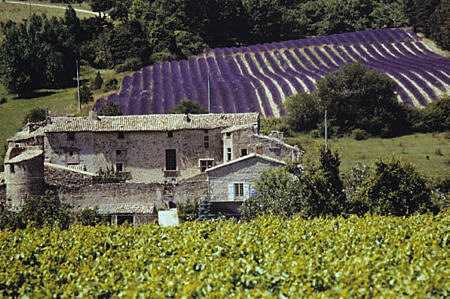 séjours individuels en Drôme