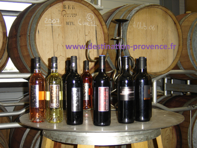 Les vins de la Vallée du Rhône