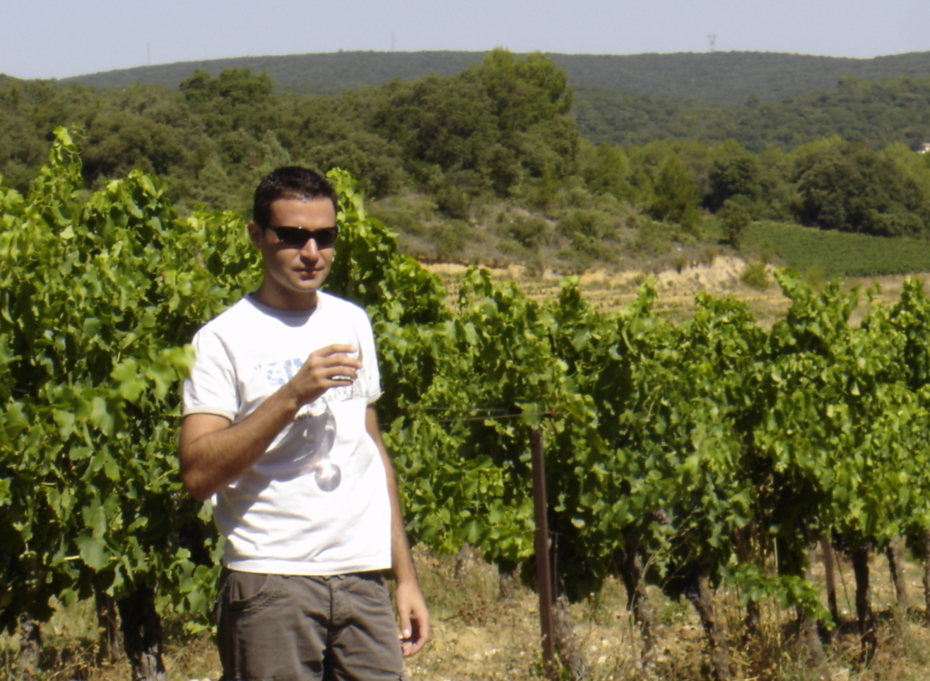 Dégustation de vin en provence