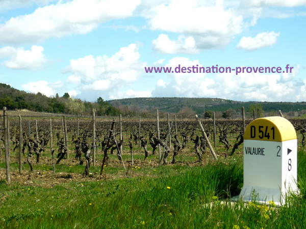 visite de vignobles en provence